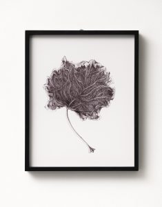 Tom Poeet, Leaf, 2015