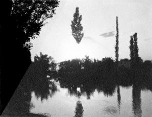 Rä di Martino, Open Tree #6, 2020