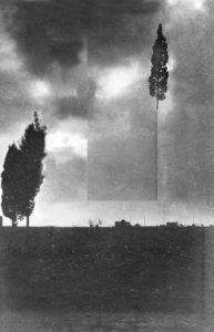 Rä di Martino, Open Tree #9, 2020